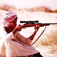 s_seif91