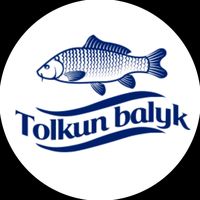 tolkunbalyk8