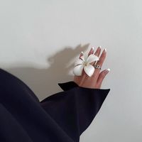 iiroud_