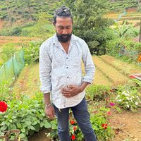 isgaburudy
