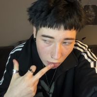 pillsdoggy