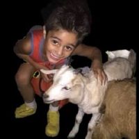 moosey_4