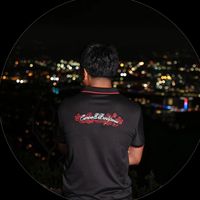 .perkinsights