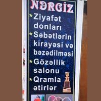 nergiz_salon002