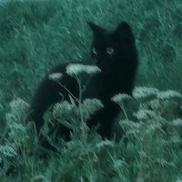 原聲 - ୧⍤⃝無の聊🙃(少更版【バージョンを減らして更新する】)