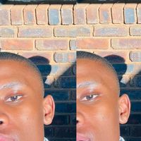 zonge_zile