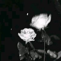 original sound - •○♡☆_C4nd1c3_☆♡○•