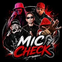 original sound - Mic Check