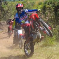 guboeiraa