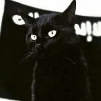 original sound - immhrrr
