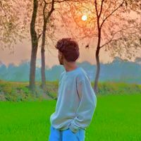 pathan__sarkar