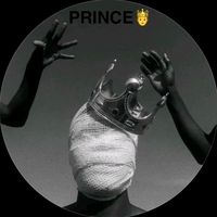 prince_gips07