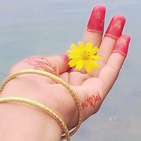 .anushka.sen2