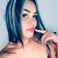 grey27.0