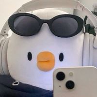 dailyms_1