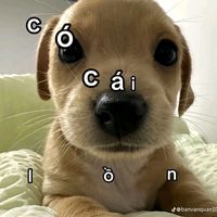 thach06_03_12