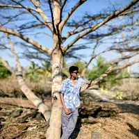 original sound - svn42483