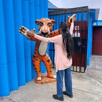 bri_artisticperu
