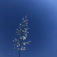 elevateyourday_