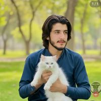 awais___ali4
