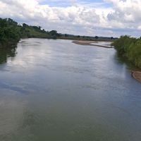 emvajolet
