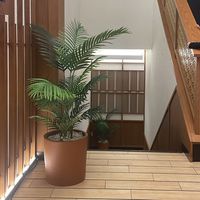 suara asli - Ulfipong store