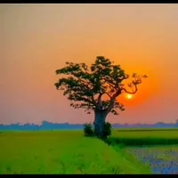 original sound - mdabirhussain01