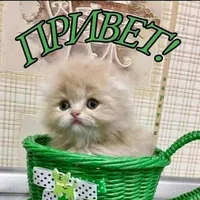 original sound - prosto7519