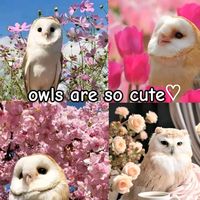 original sound - 💜I am alone🩵