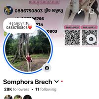 original sound - FB: Somphors Brech