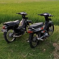 suara asli - wong_kidulan