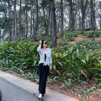 nhạc nền - Phượng Mít 🥒