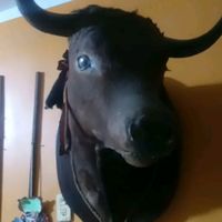 amoamishijos.contoda