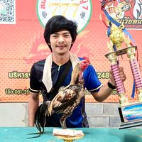 nuy_lion_king1