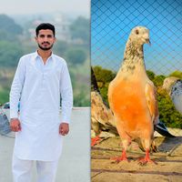 malik_farhan_5911