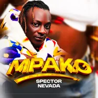 original sound - spectornevada256