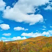 オリジナル楽曲 - I am Yuta 😴