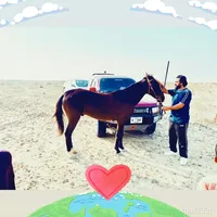 original sound - farhankhokhar393