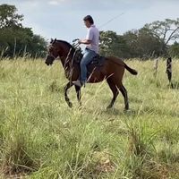 joseavil29