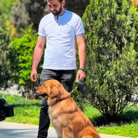 dogsazerbaycan