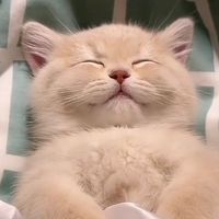 オリジナル楽曲 - ☆ki(๑˃̵ᴗ˂̵)ki☆