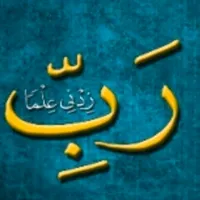 original sound - meleksengocen