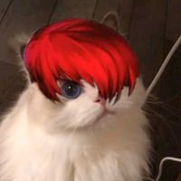 mixic_ft_chou