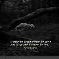 darbazec_008
