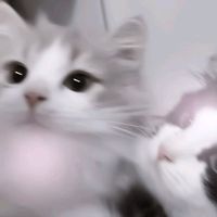 オリジナル楽曲 - バナナ(   ᐛ)バナナ