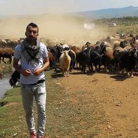 fatihzen12