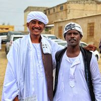 الصوت الأصلي