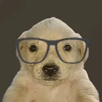 original sound - perrito_sabelotodo