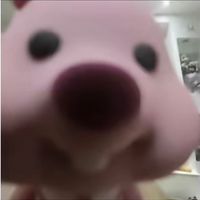 qnuxn_