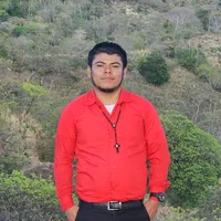 original sound - hermanoricardo2